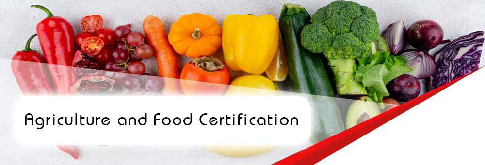 Kayra Belgelendirme offers expert guidance and certification services for the agriculture and food sectors, including certifications such as FSSC 22000, BRC, IFS, HACCP, and Halal Food. Contact us today to quickly obtain the certifications you need to ensure your products meet international safety and quality standards.






